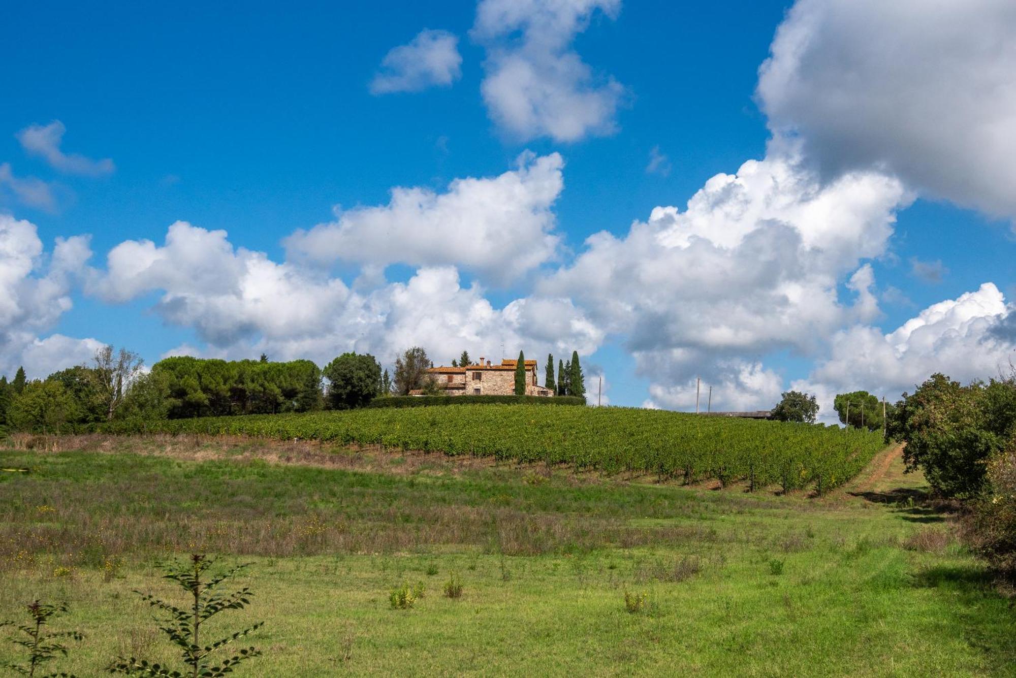 Agriturismo Il Chiassale Раполано Терме Екстериор снимка