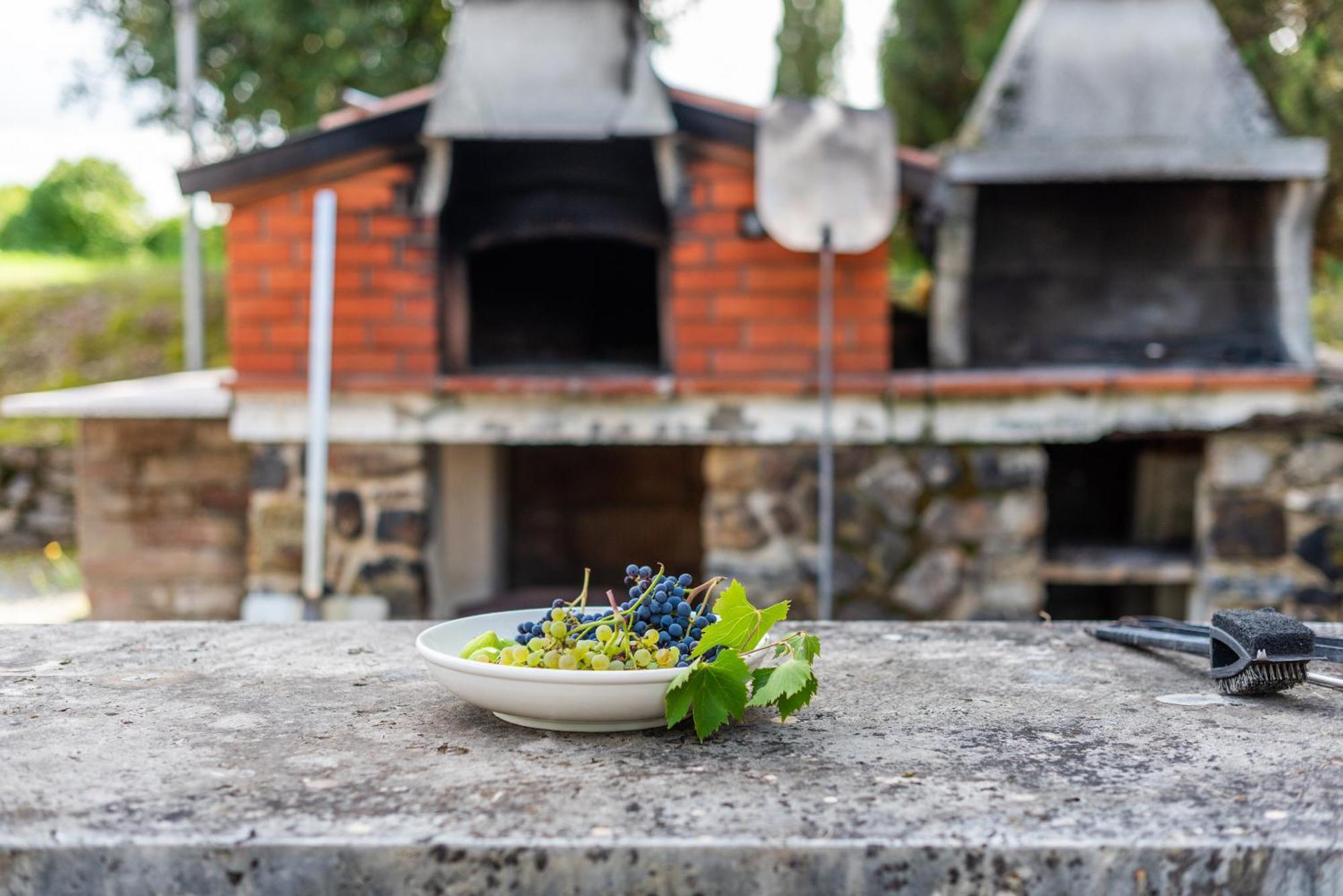 Agriturismo Il Chiassale Раполано Терме Екстериор снимка